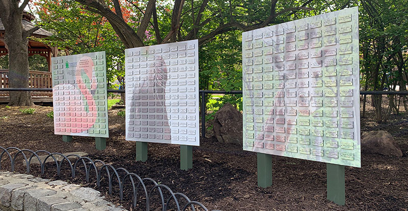 Donor Wall
